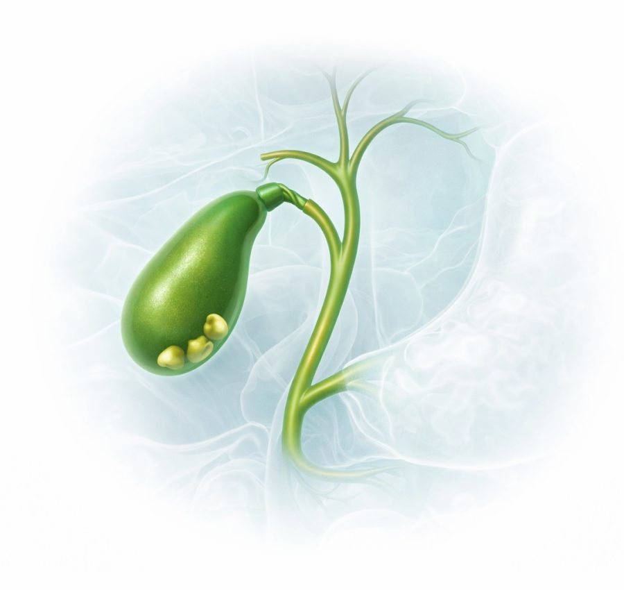 Vesicula